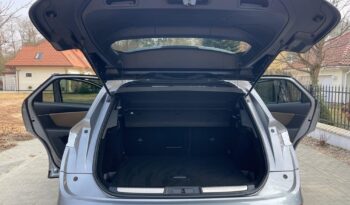 DS Automobiles DS 7 Crossback 2.0 BlueHDi Grand Chic full