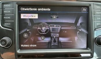 Volkswagen Tiguan 2.0 TDI SCR (BlueMotion Technology) DSG Highline full