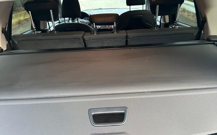 BMW Seria 2 218d Active Tourer Luxury Line full