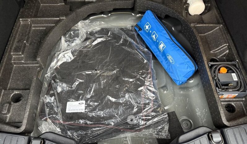 Ford Kuga 2.0 EcoBlue 4×4 ST-LINE X full