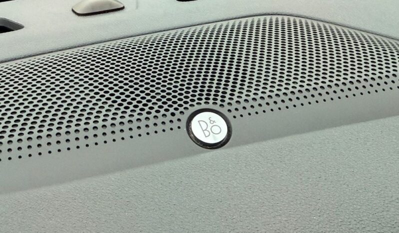 Ford Kuga 2.0 EcoBlue 4×4 ST-LINE X full